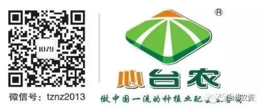 果實(shí)接近成熟，警惕柑橘表面各種油胞病
